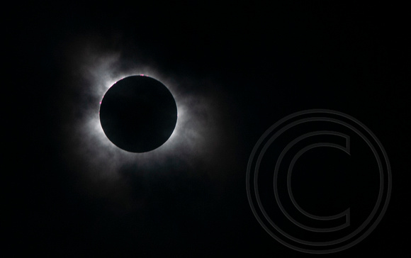 4.8.24 total eclipse Copperas Cove     300_7071